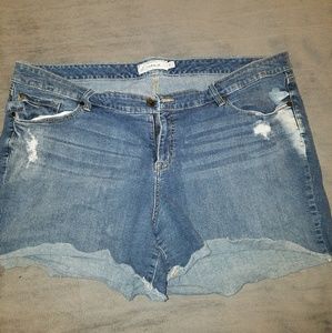 *LAST CHANCE* Torrid jean shorts